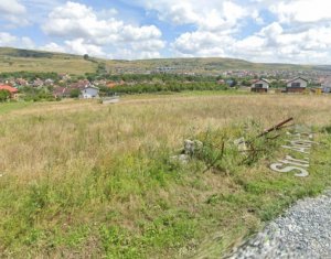 Land for sale in Chinteni
