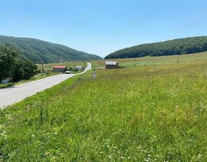 Terrain à vendre dans Salicea