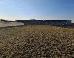 Land for sale in Apahida