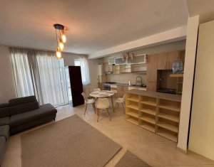 Appartement 2 chambres à louer dans Cluj-napoca, zone Buna Ziua