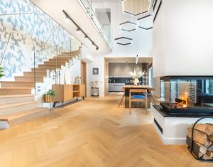 Vila moderna si spatioasa 245mp, cartier Terra Floresti