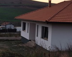 House 3 rooms for sale in Apahida