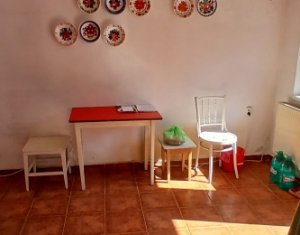 Maison 3 chambres à vendre dans Cluj-napoca