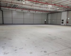 Industrial space for rent in Apahida