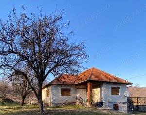Holiday houses for sale in Ciucea