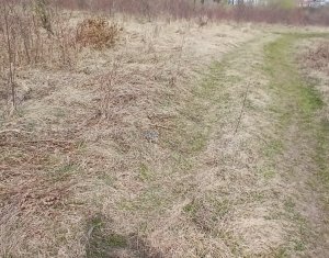 Telek eladó on Cluj-napoca, Zóna Buna Ziua