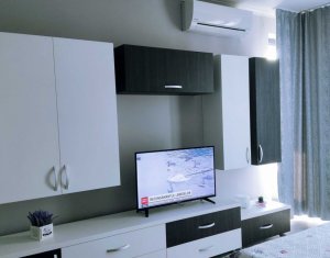 Apartment 1 rooms for rent in Cluj-napoca, zone Intre Lacuri