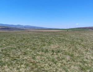 Terrain à vendre dans Ciurila