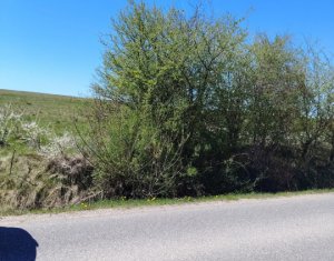 Terrain à vendre dans Ciurila