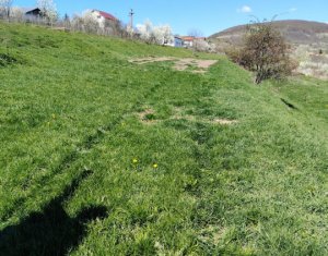 Land for sale in Ciurila