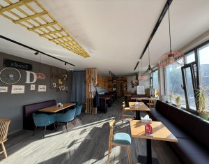 Espace Commercial à louer dans Cluj-napoca, zone Centru