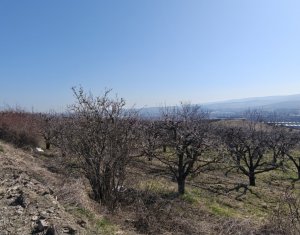 Land for sale in Cluj-napoca, zone Iris