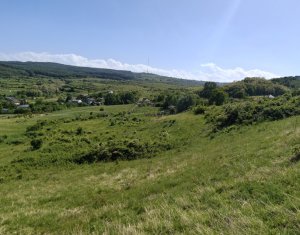 Telek eladó on Cluj-napoca, Zóna Borhanci
