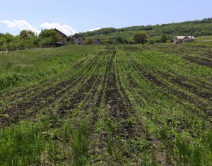 Terrain à vendre dans Valcele