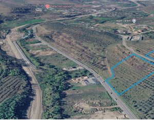 Teren intravilan 11.600mp iesire Baciu DN 1F / E81