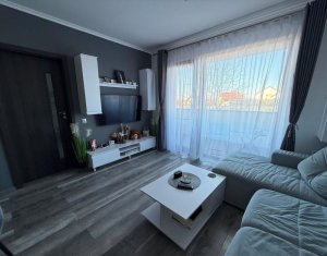Appartement 2 chambres à louer dans Cluj-napoca, zone Europa