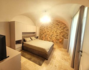Apartment 2 rooms for rent in Cluj-napoca, zone Centru