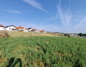 TEREN PENTRU DEZVOLTARE IMOBILIARA - 7.092 MP - CORUSU, BACIU