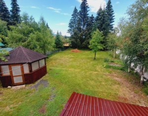 Maison 3 chambres à vendre dans Belis, zone Centru