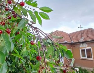 Ház 3 szobák eladó on Dangau Mare