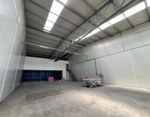 Espace Industriel à louer dans Gilau