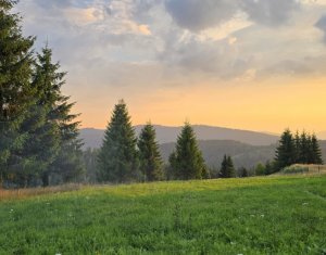 Ház 3 szobák eladó on Balcesti (belis), Zóna Centru