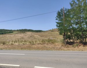 Terrain à vendre dans Corpadea