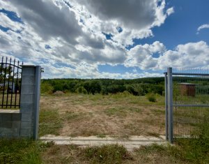 Land for sale in Savadisla