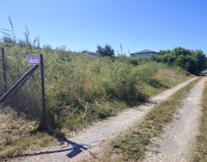 Teren 500 mp la limita intravilanului – Valea Chintaului