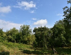 Casa demolabila in sat Gheorghieni (com Feleacu) teren 1547mp intravilan