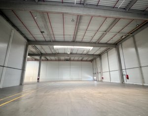 Espace Industriel à louer dans Apahida