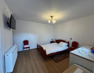 Appartement 1 chambres à louer dans Cluj-napoca, zone Plopilor