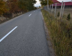 Teren intravilan in Dangaul Mare, drum asfaltat, canalizare, apa, curent